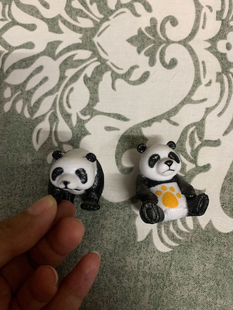 Panda 🐼