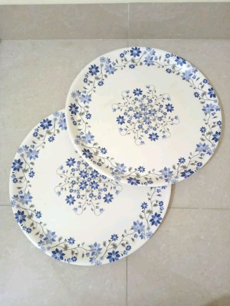 Melamine Ware 2 Dinner Plates