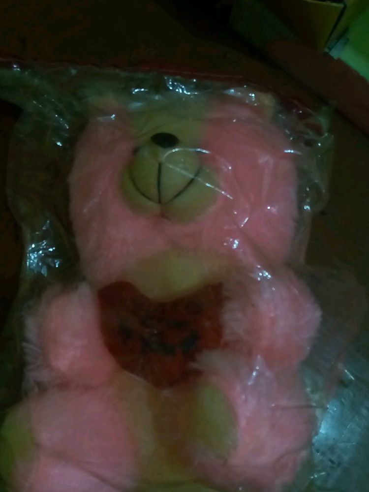 Cute Teddy Pink