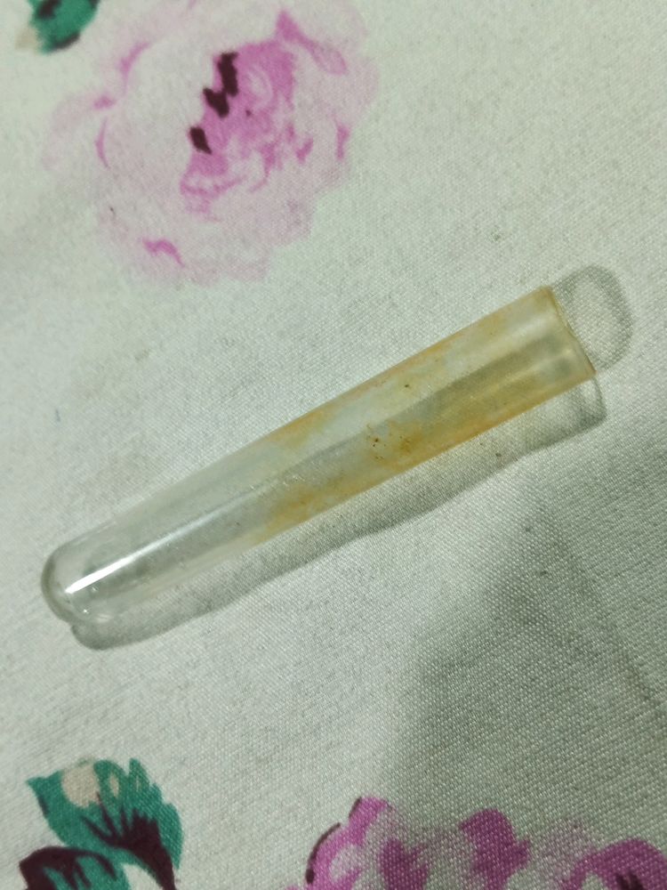 A Glass Test Tube