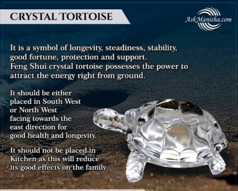 Glass Turtle