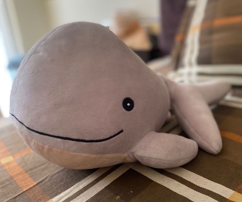 Whale Fish Soft Toy