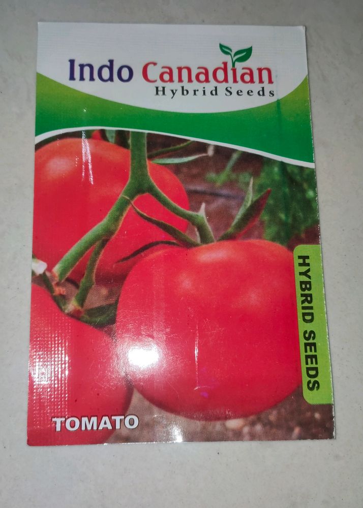 Tomato 🍅 Seeds