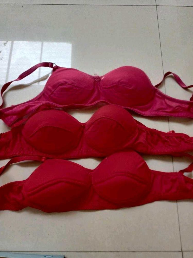 Combo 3 Brand New Padded Bra