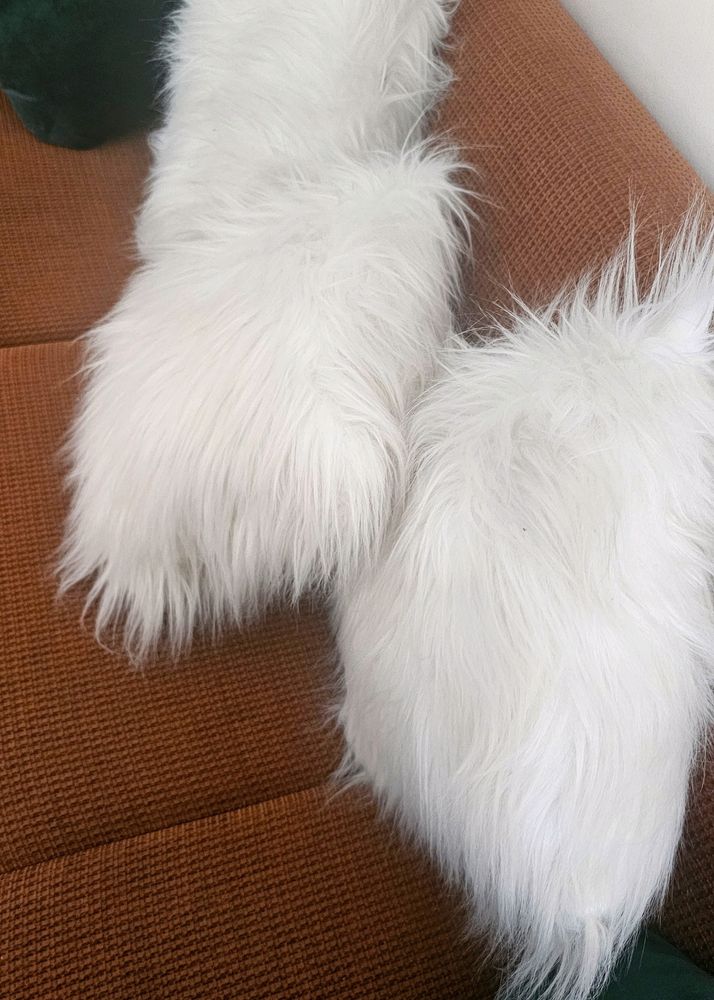 4 Pcs Fur Cusion ( 200 Rs Each )