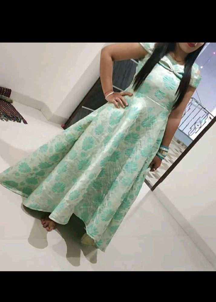 Cindrella Gown For An Adult Girls