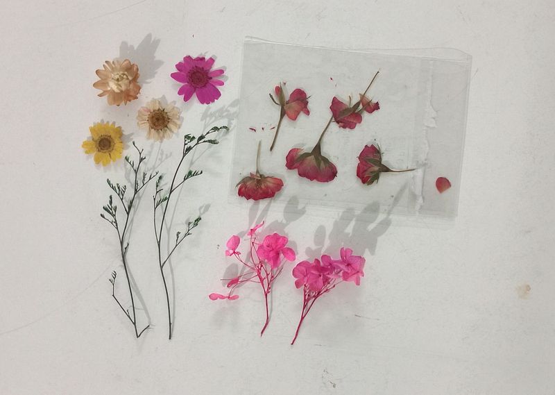 Dry Flowers For Resin