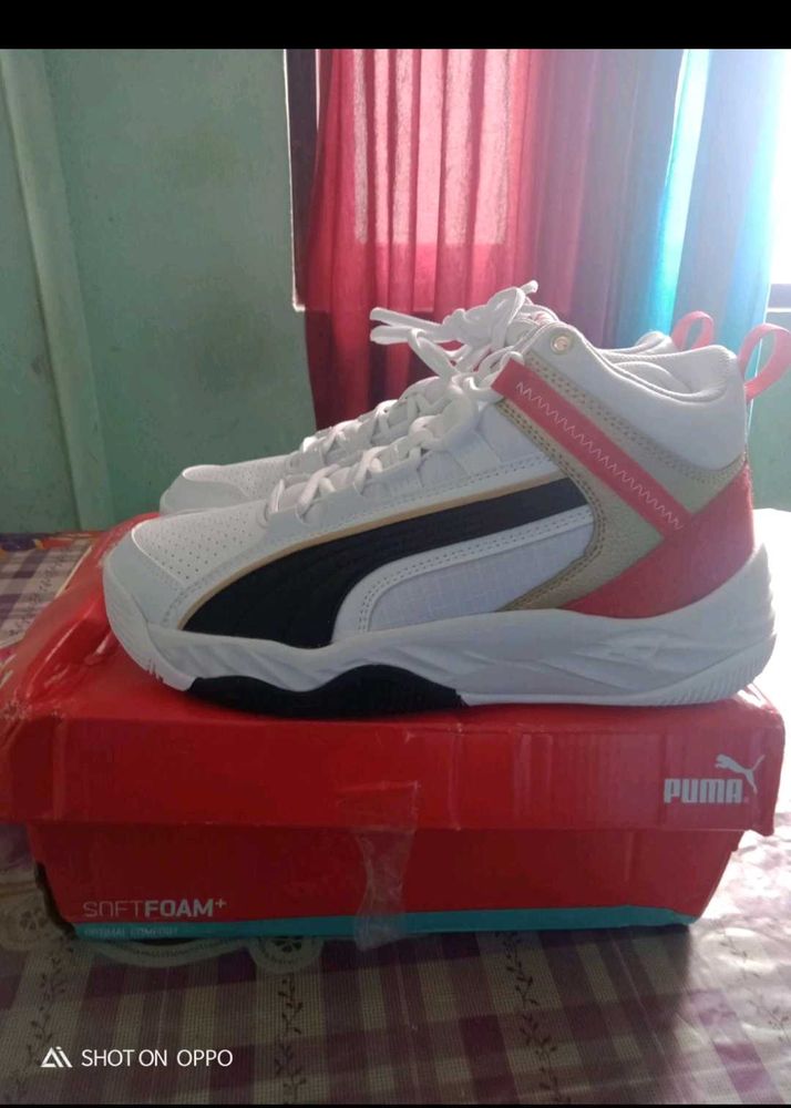 Puma Orginal