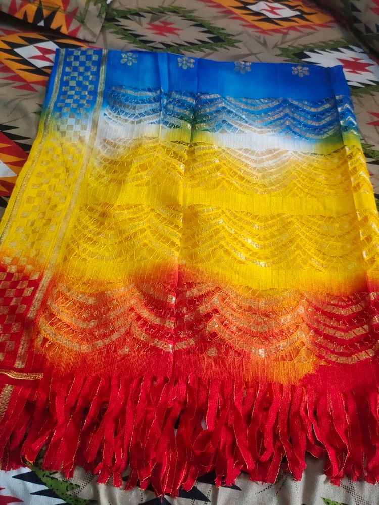 Multi Colour Dupatta