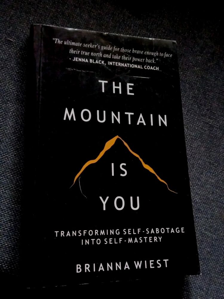 The Mountain Is You By Brianna Wiest