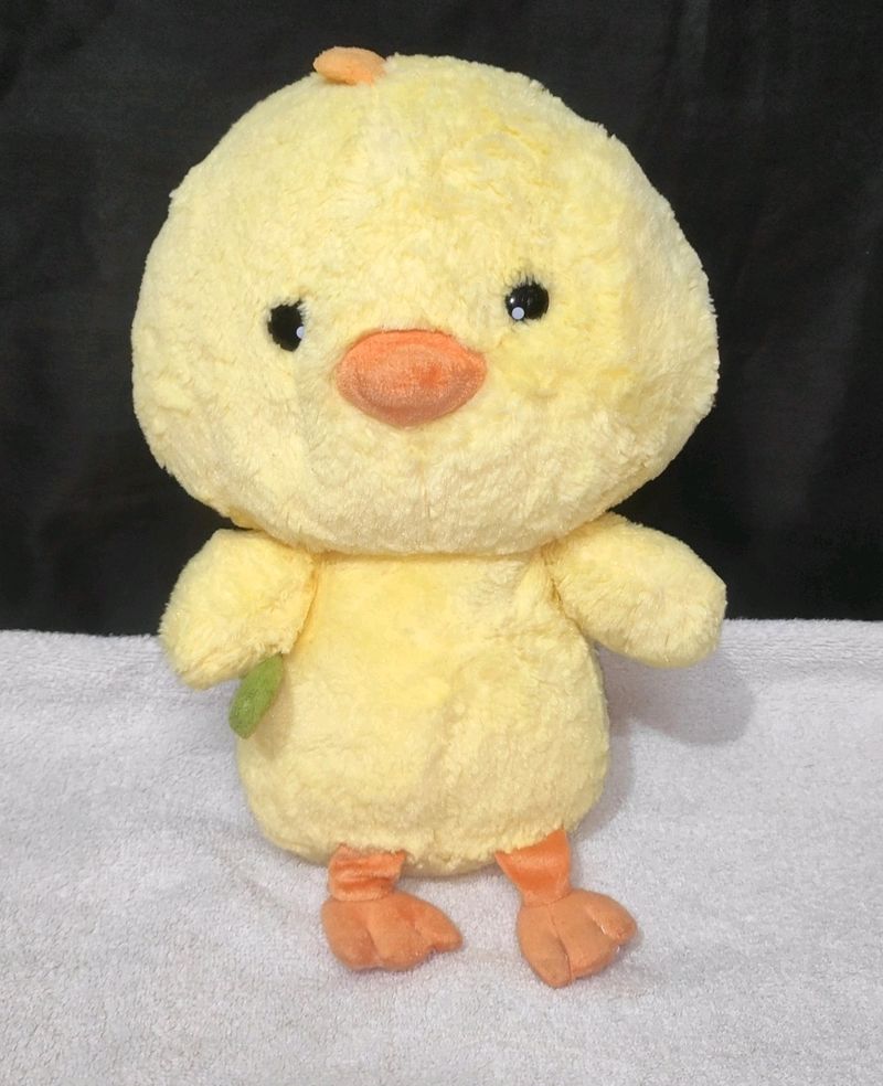 Cute Duck