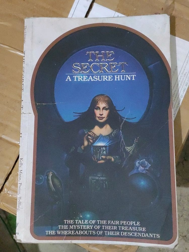 THE SECRET a Treasure Hunt Book