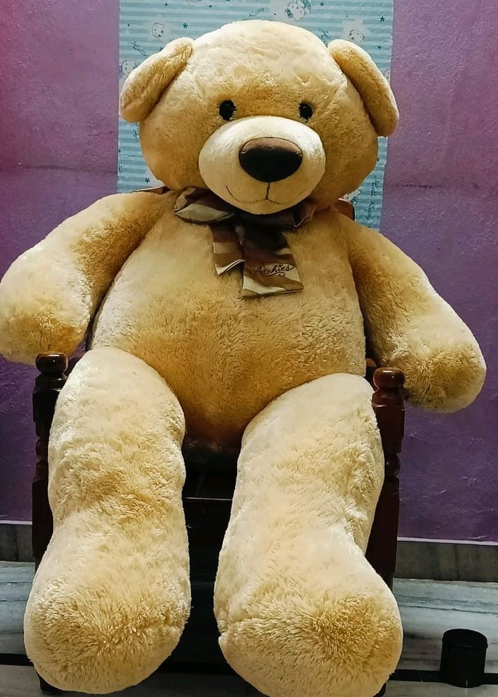 Archie's Branded Teddy Bear