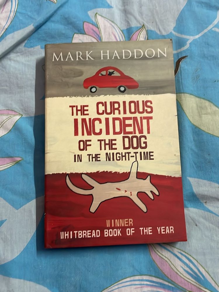 The Curious Incident Of Dog In Nighttime