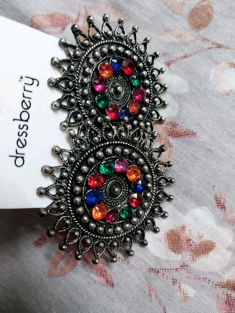 Multi Coloured Earrings