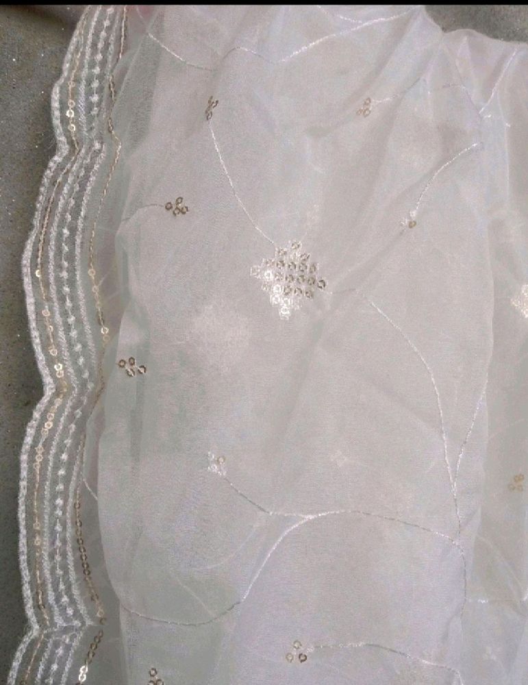 Dupatta Organza