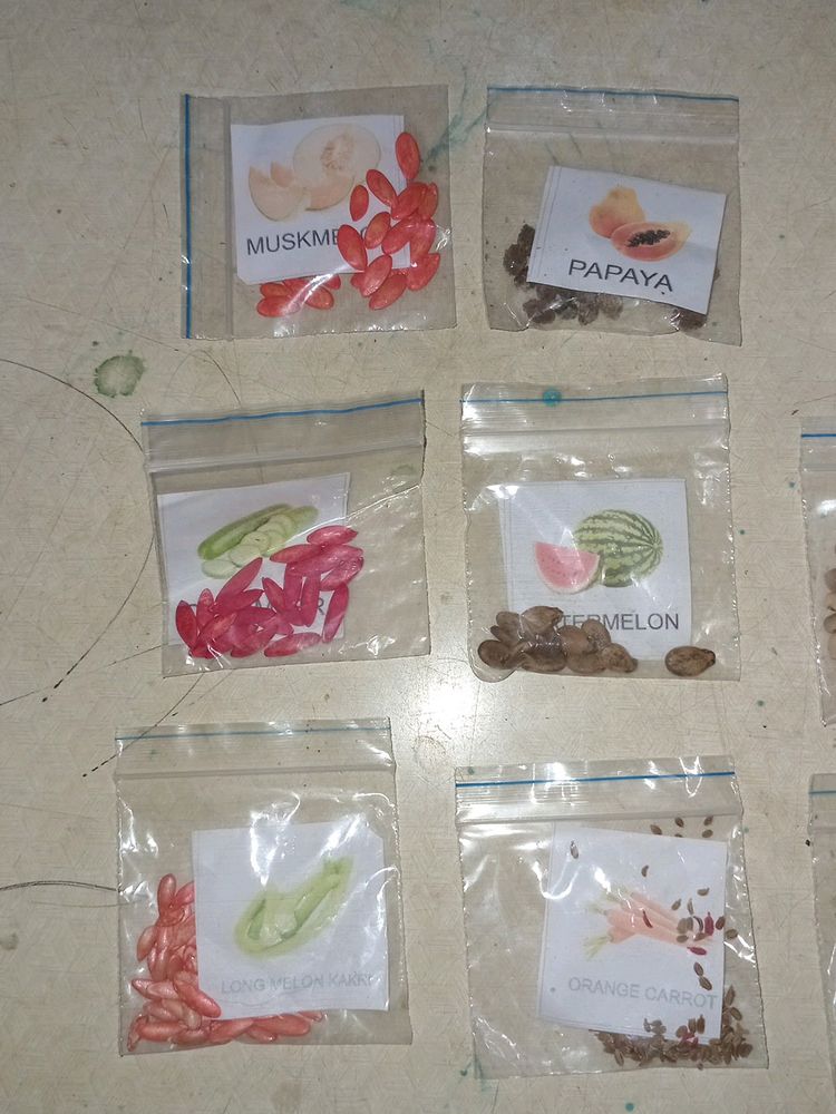 12 Variety Vegetable and Fruit Seeds🌱 Combo