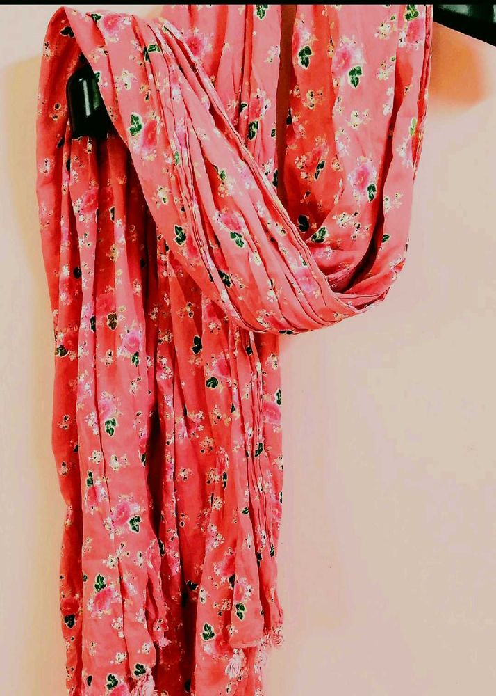 Cotton Dupatta