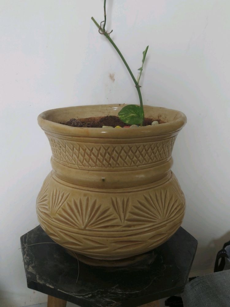 Ceramic Pot