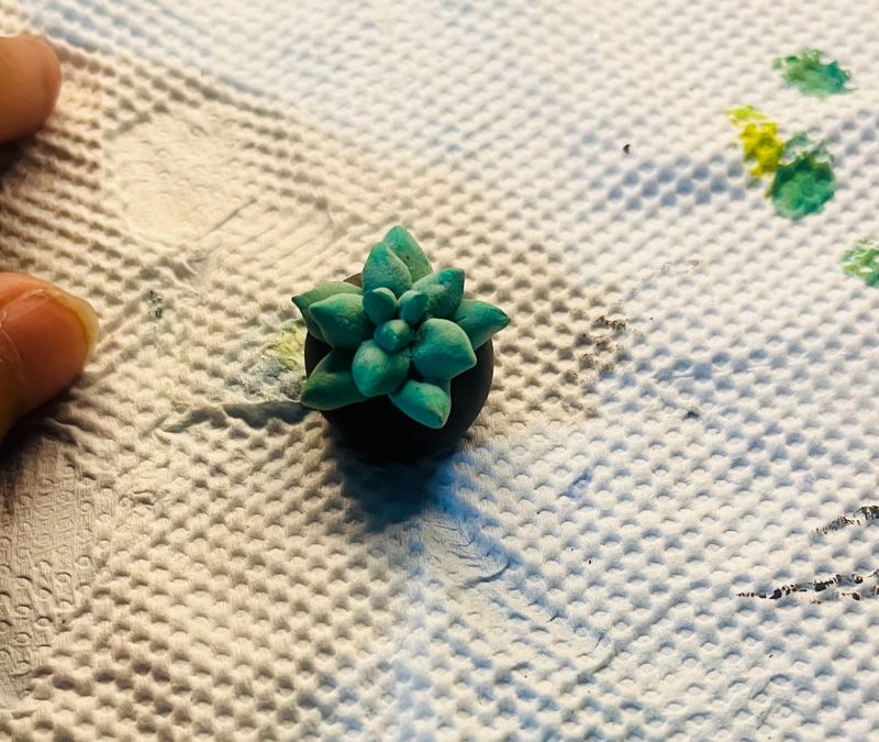 Mini Succulent  Plant   Made From Air Dry Clay