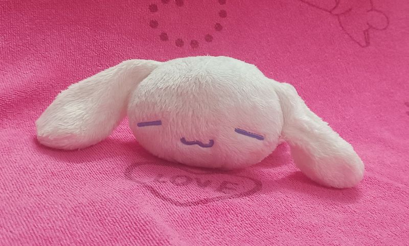 🎀Sleeping CINNAMOROLL 🎀