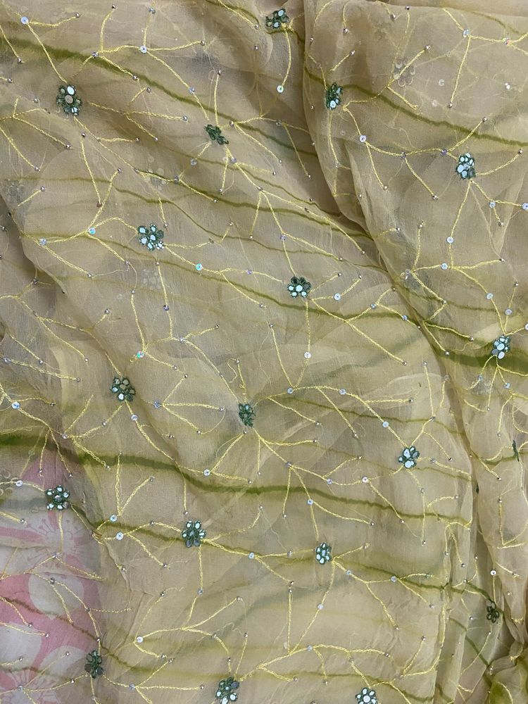 Green Olive Saree With Blouse