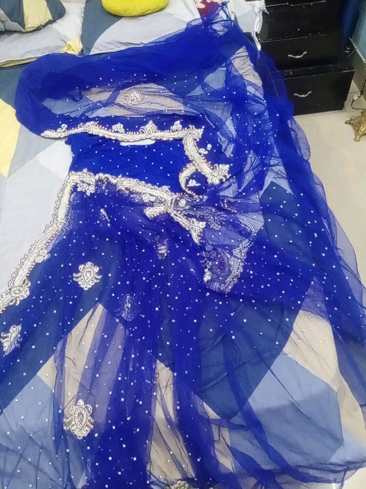 Zardozi Pearl Work Saree With Patticote Rarely Us