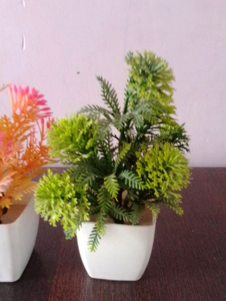 Artificial Plants