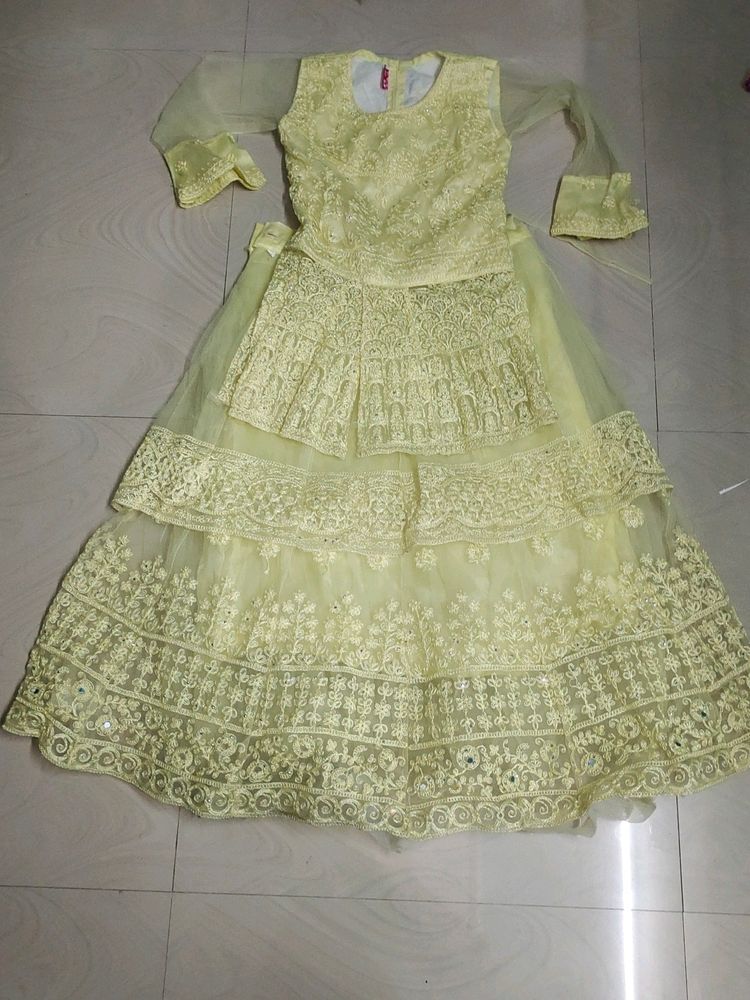 Very Classic Lehenga Choli