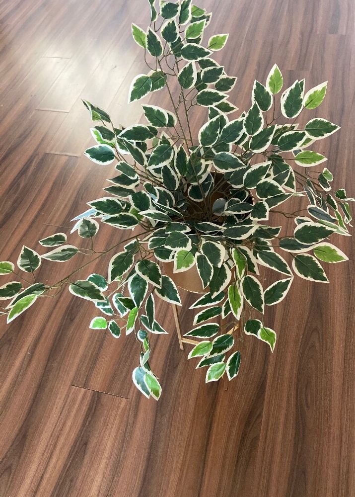 New Artificial Plant Home Decor ❤️