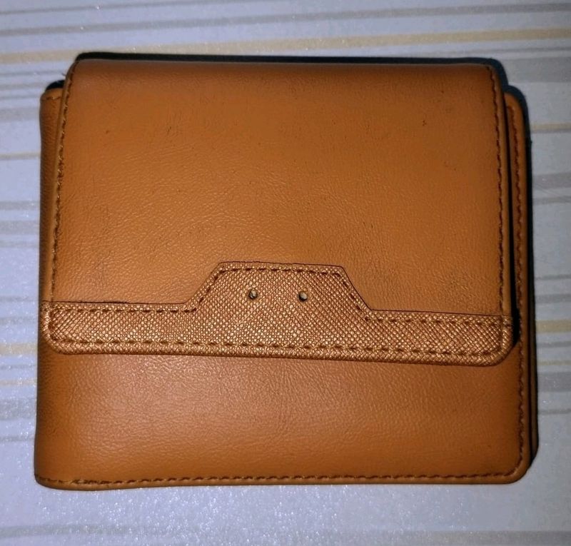 Baggit Wallet