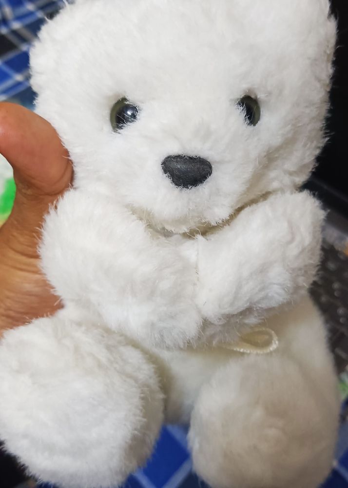 Imported Cute Teddy 🧸