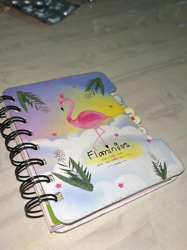 Flamingo Diary