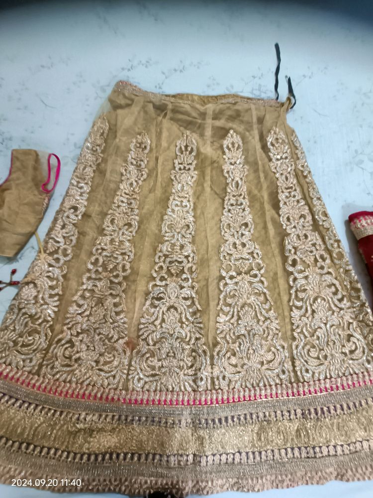 Golden Pink Red Lehenga