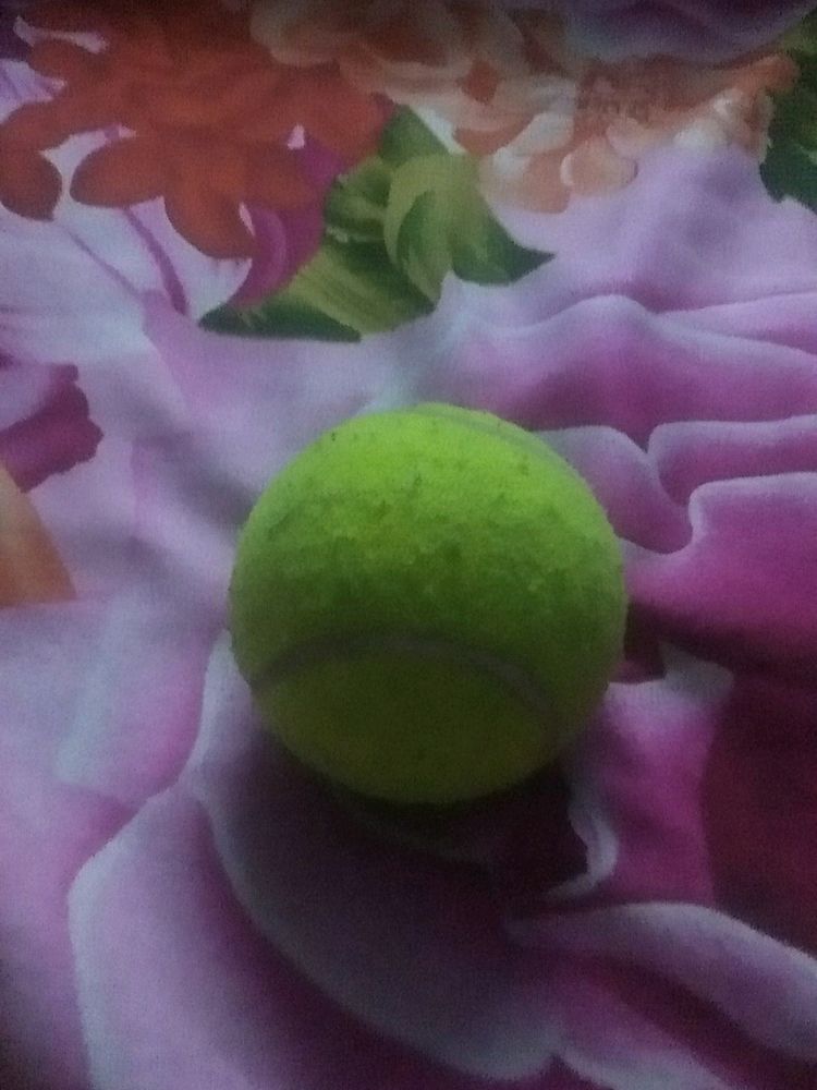 Cricket Ball