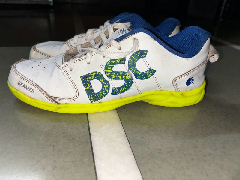 DSC Cricket Shoes Original