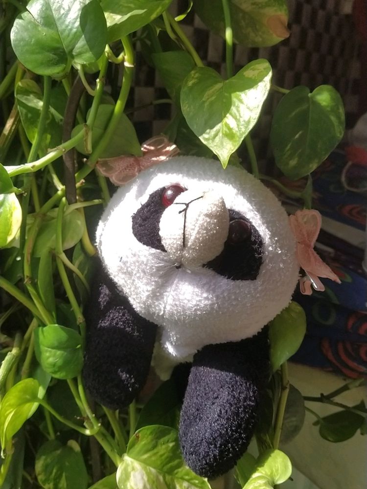 Cute Korean Panda 🐼 Toy