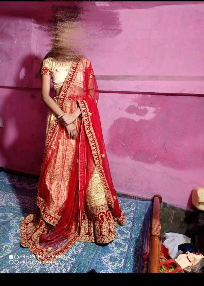 Lehenga Choli