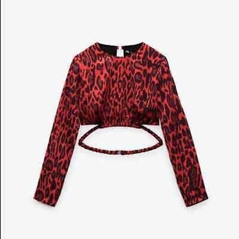 ZARA RED CHEETAH PRINTED CROP TOP