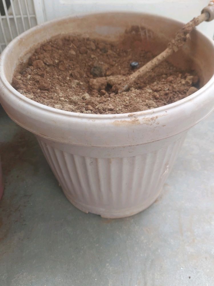 Pot With Soil And Composed