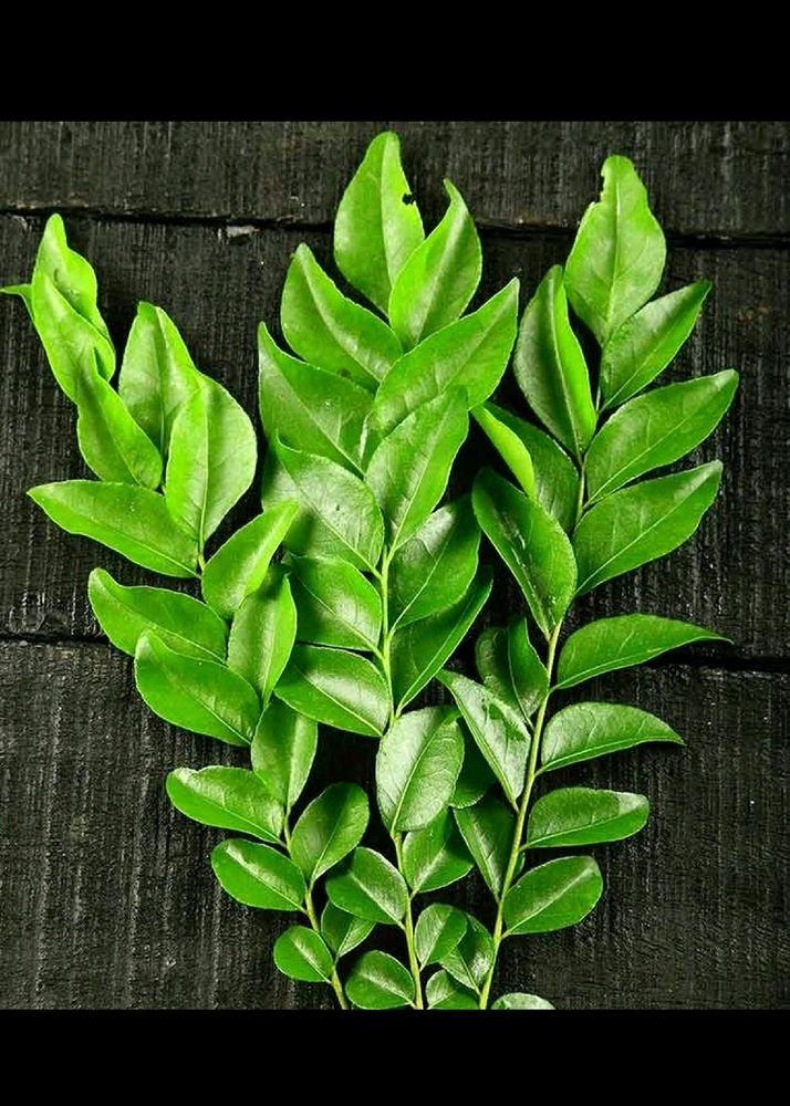 Curry Leaves Seeds