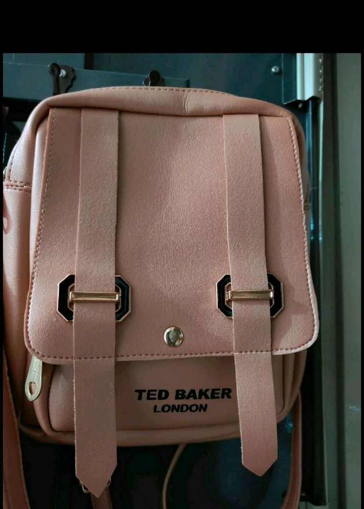 Ted Baker Bag