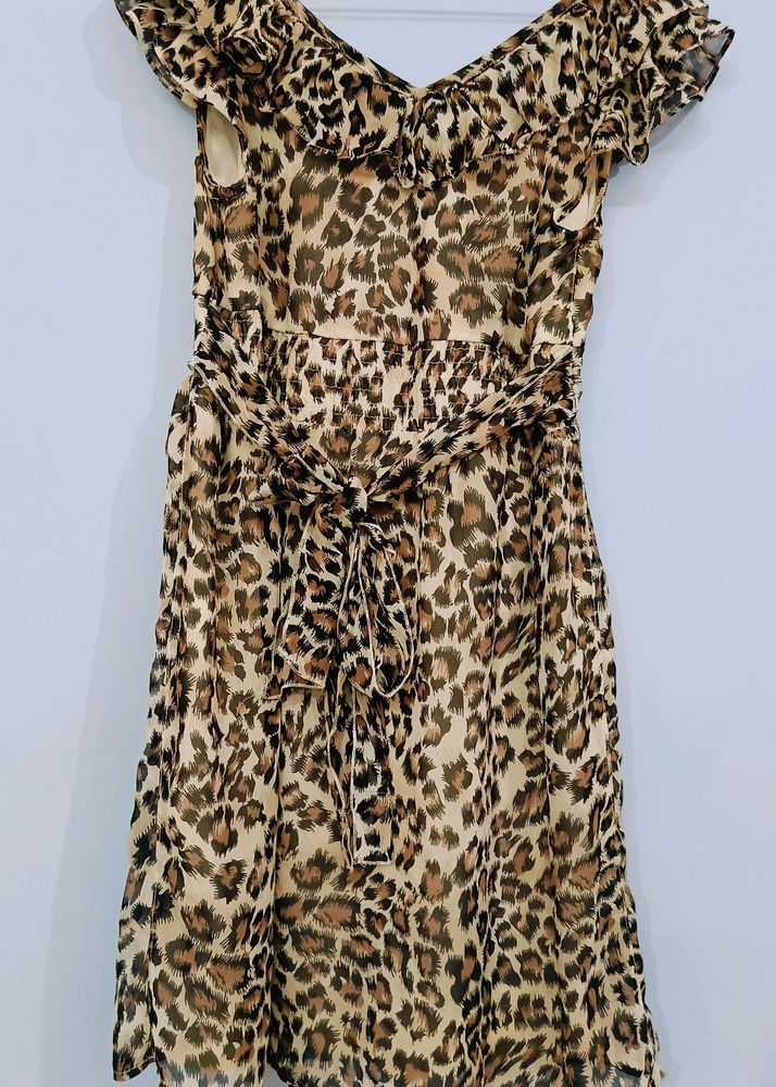 Leopard Print Dress