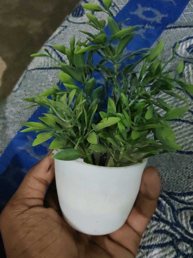 Artificial Plant 1 Pcs