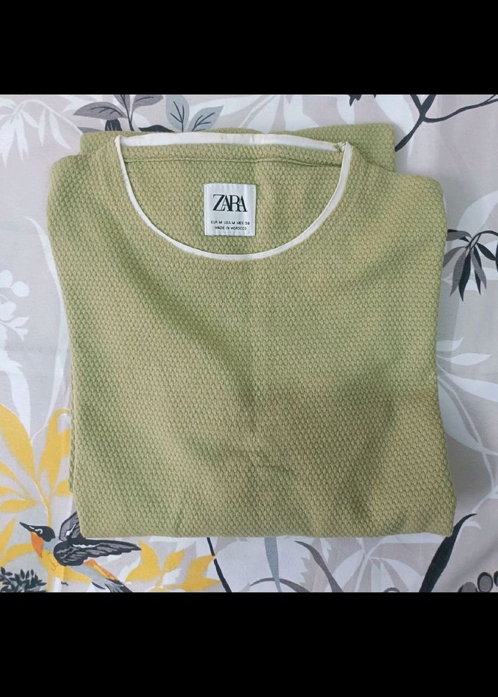 Zara Long Sleeves Sage Green Tshirt