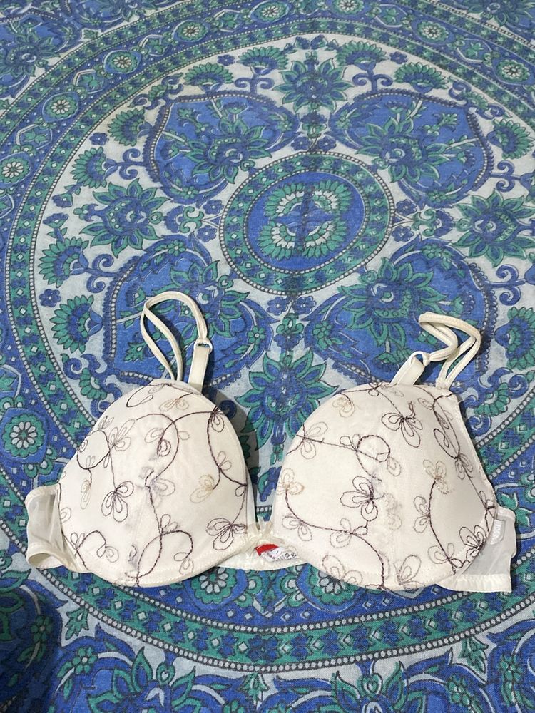 Net Embroidery Bra