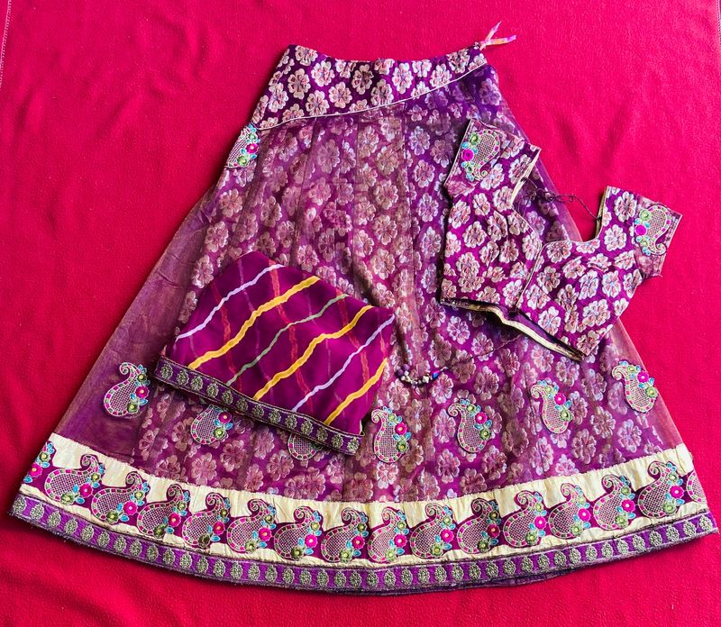 Net Lehnga,blouse And Odhani Set💜