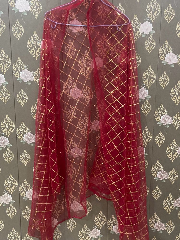 Net Sippi Work Dupatta