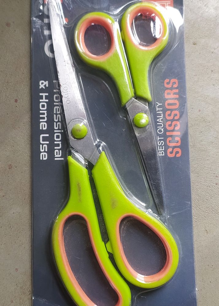 Stainless Steel Multi Purpose Scissors (Set Of 2)