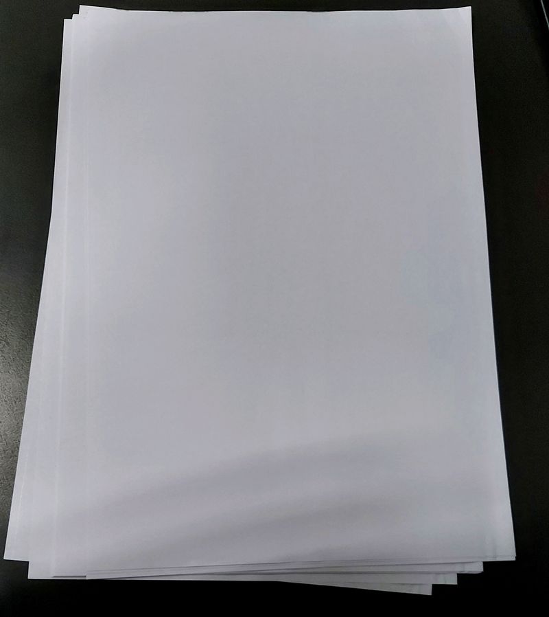 100 A4 Size Sheets